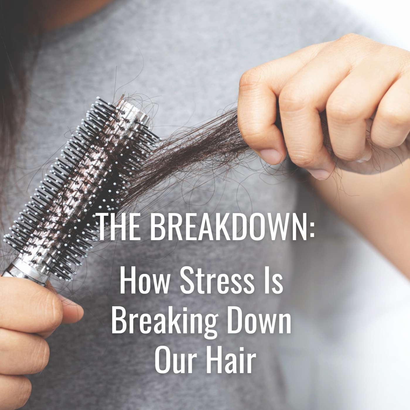 The Breakdown:  How Stress Is Breaking Down Our Hair