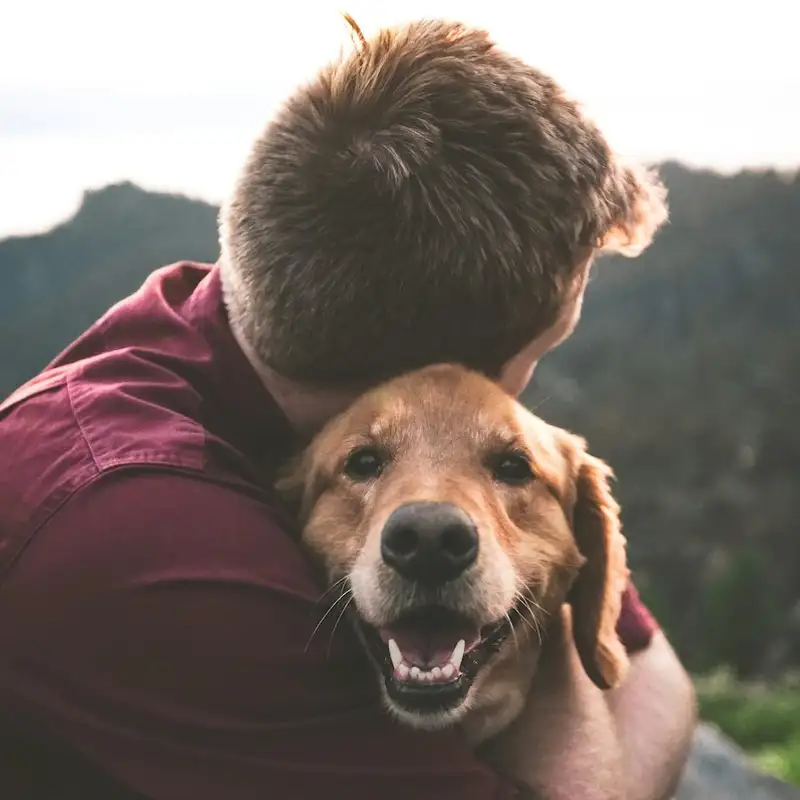 BLOG | What Owning a Dog Taught Me About God’s Love