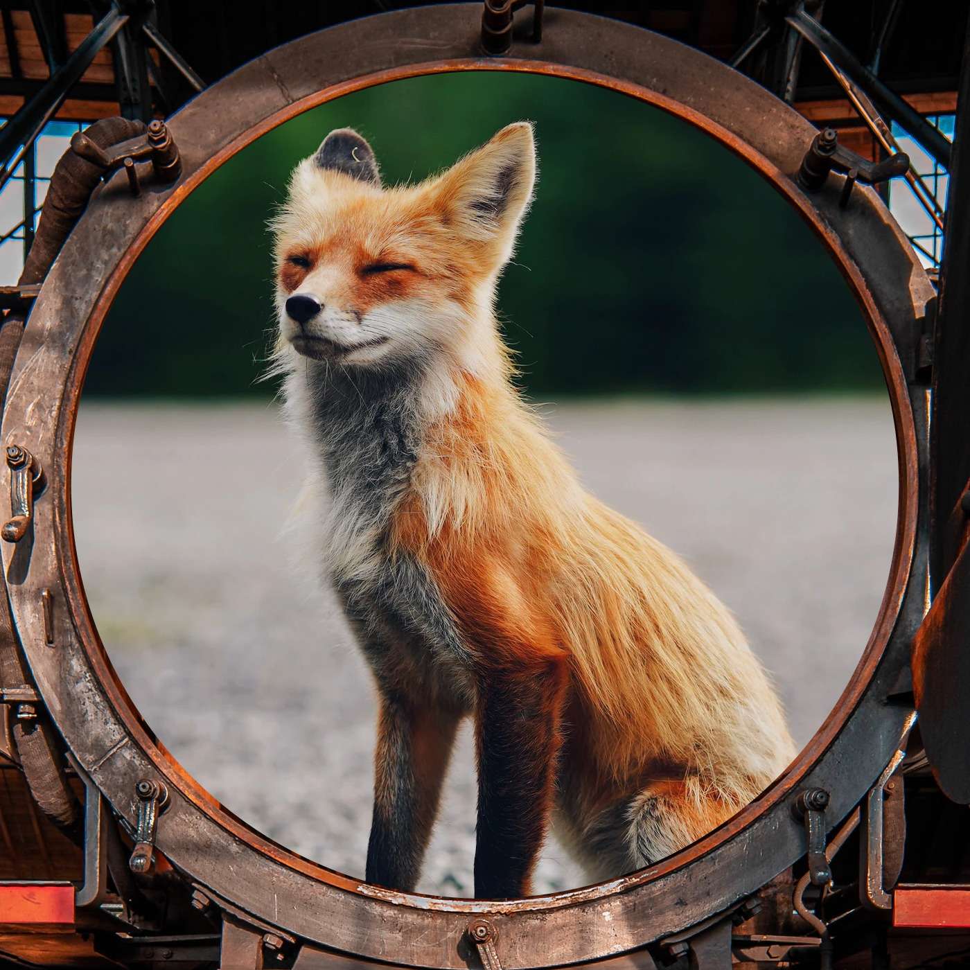 Meet Professor Fritz