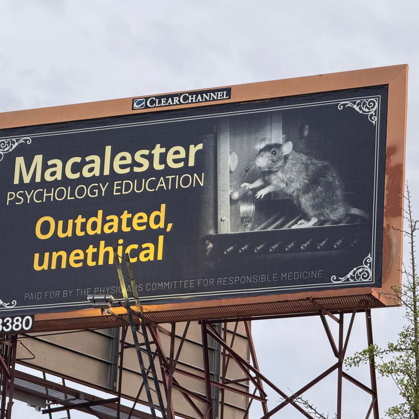 Macalester Alumni Sues College for Unethical Animal Use