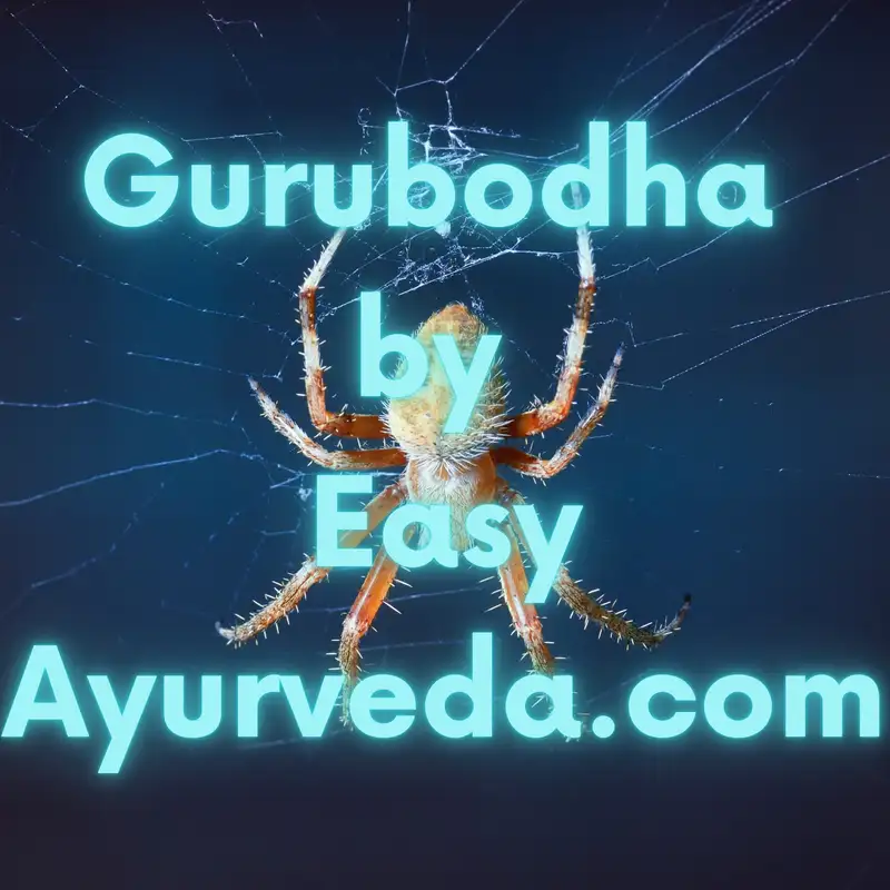 GURUBODHA 81: Management of Spider Bite In Ayurveda (Luta Visha)- A Case Study| Sireesha Ghritha