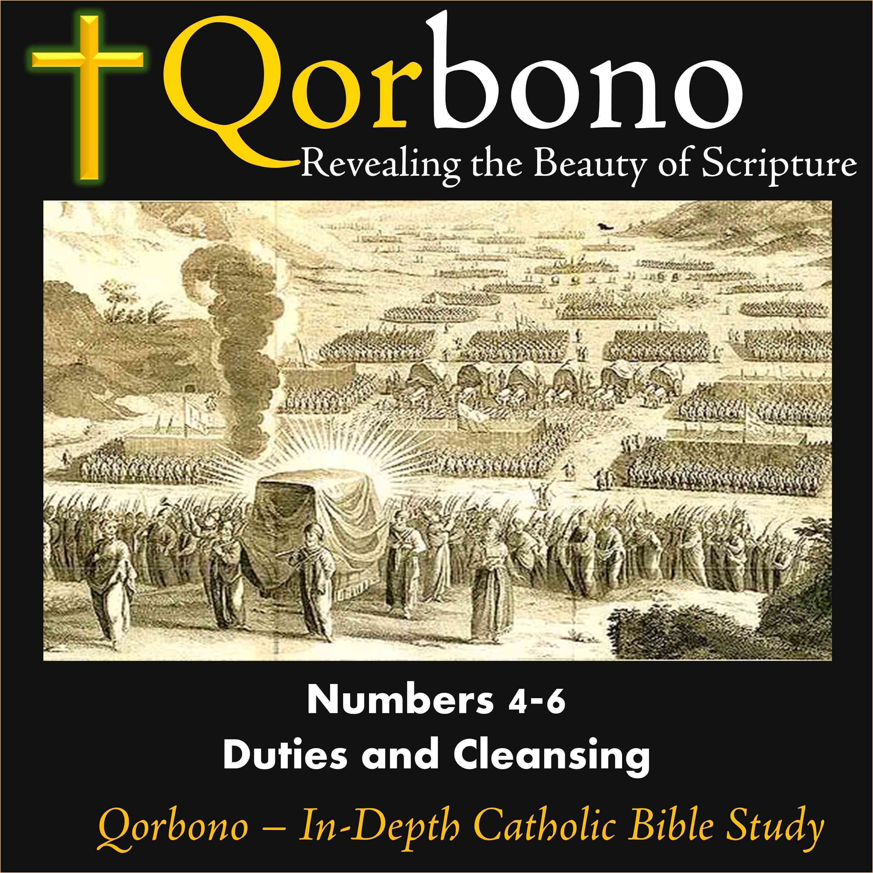 Numbers -- Journey to the Promised Land