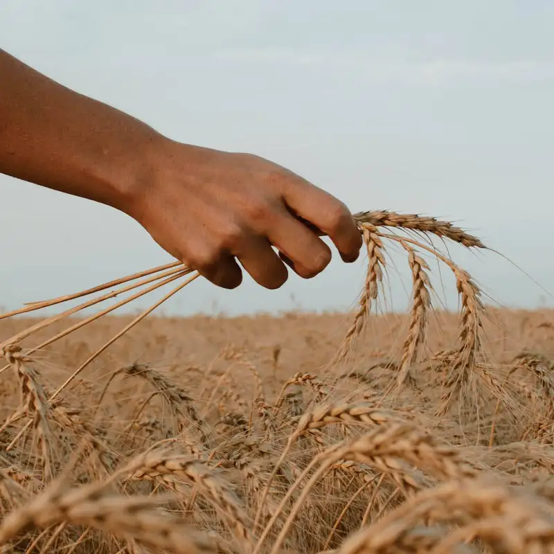 BLOG | What Would It Look Like If We Treated Others the Way God Treats Us?