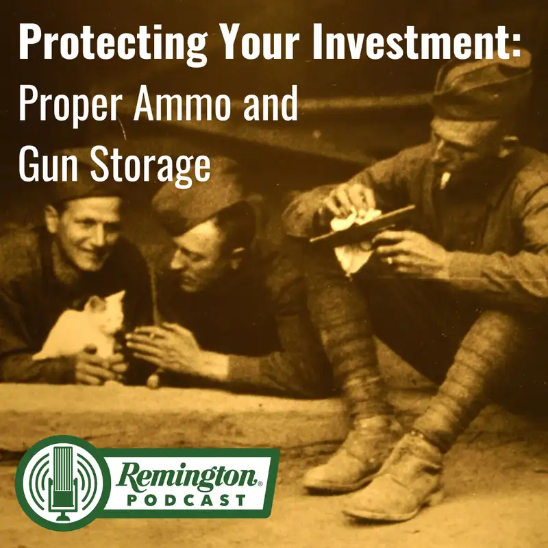 Protecting Your Investment: Proper Ammo and Gun Storage