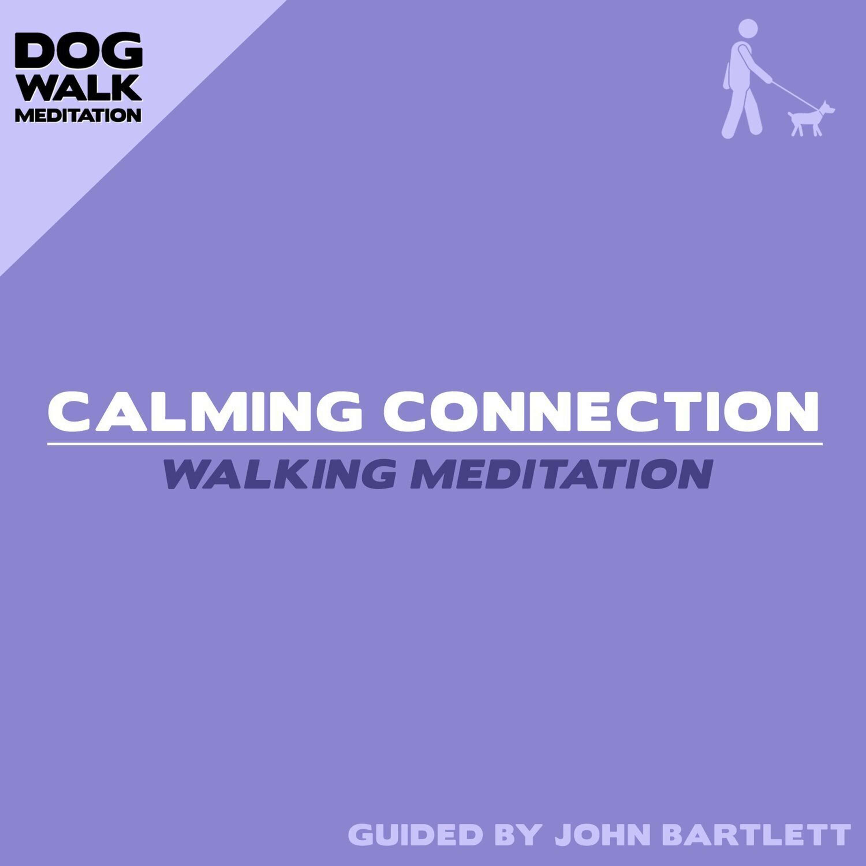 Announcement: Introducing Dog Walk Meditation