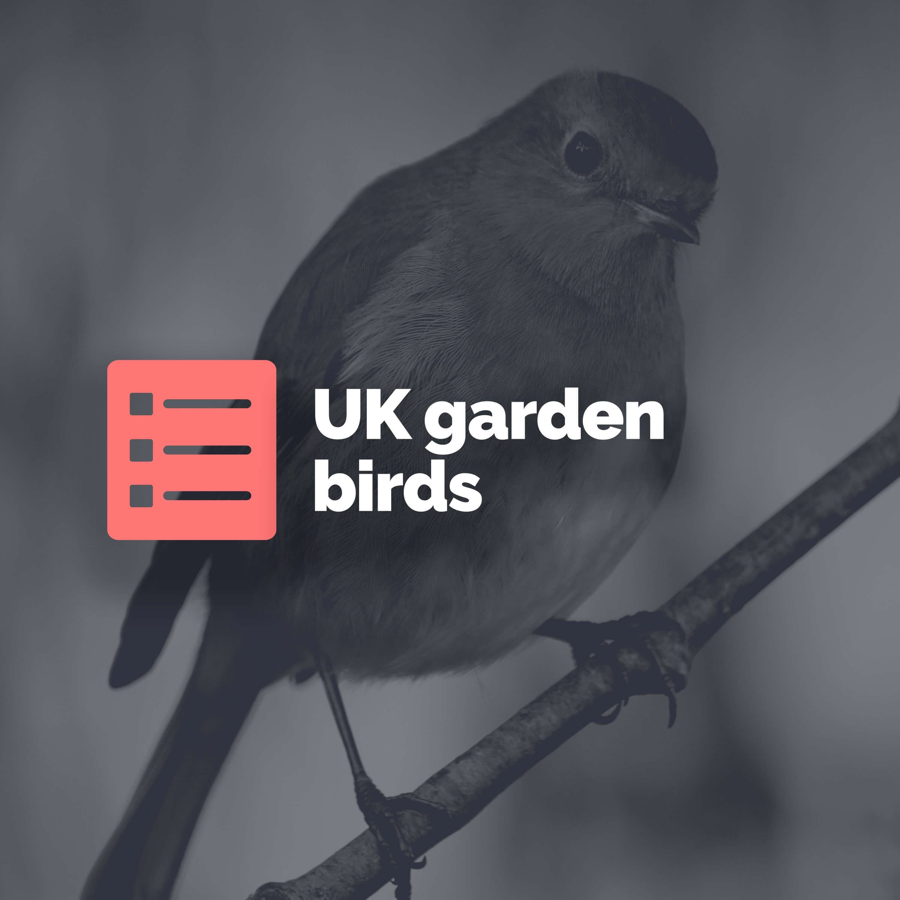 Top 5 UK garden birds