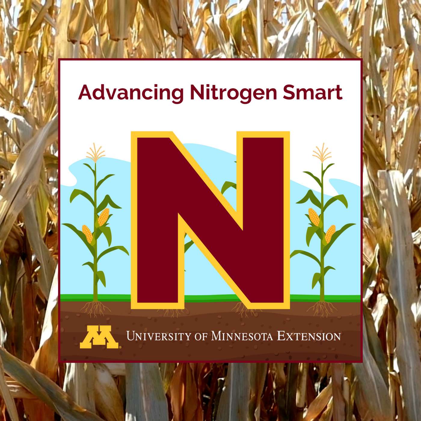 UMN Extension Nutrient Management Podcast