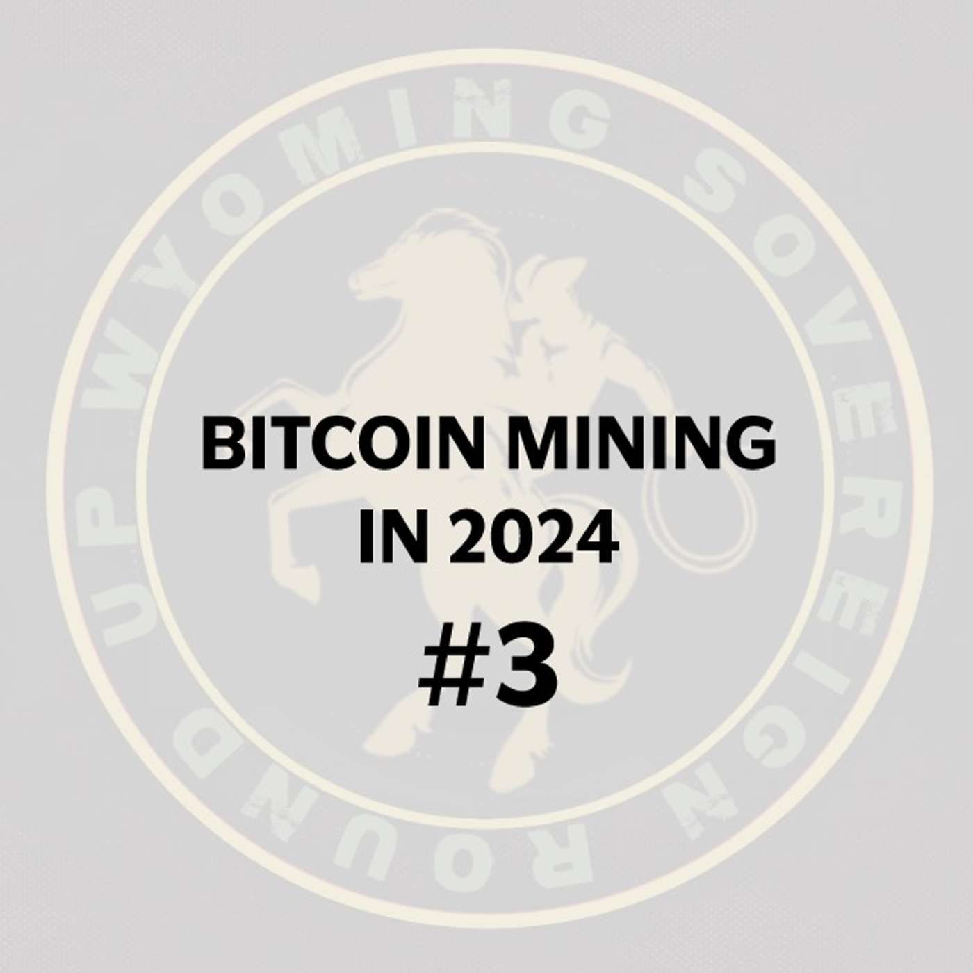 #3 Arceris_btc, Cody Harris & Adam O. | The State Of Bitcoin Mining 2024 #3 Arceris_btc, Cody Harris & Adam O. | The State Of Bitcoin Mining 2024