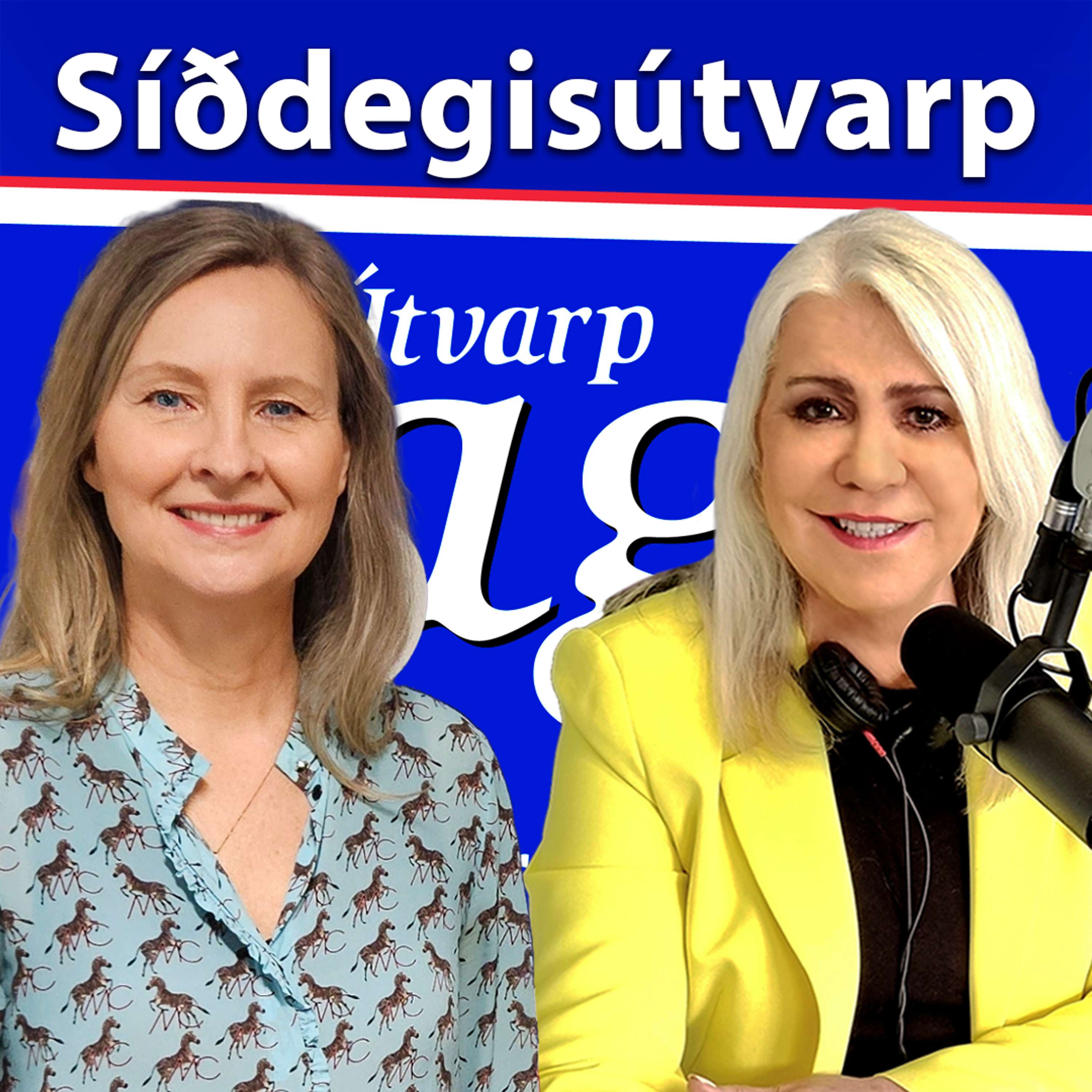 Barátta góðs og ills - Hildur Þórðardóttir