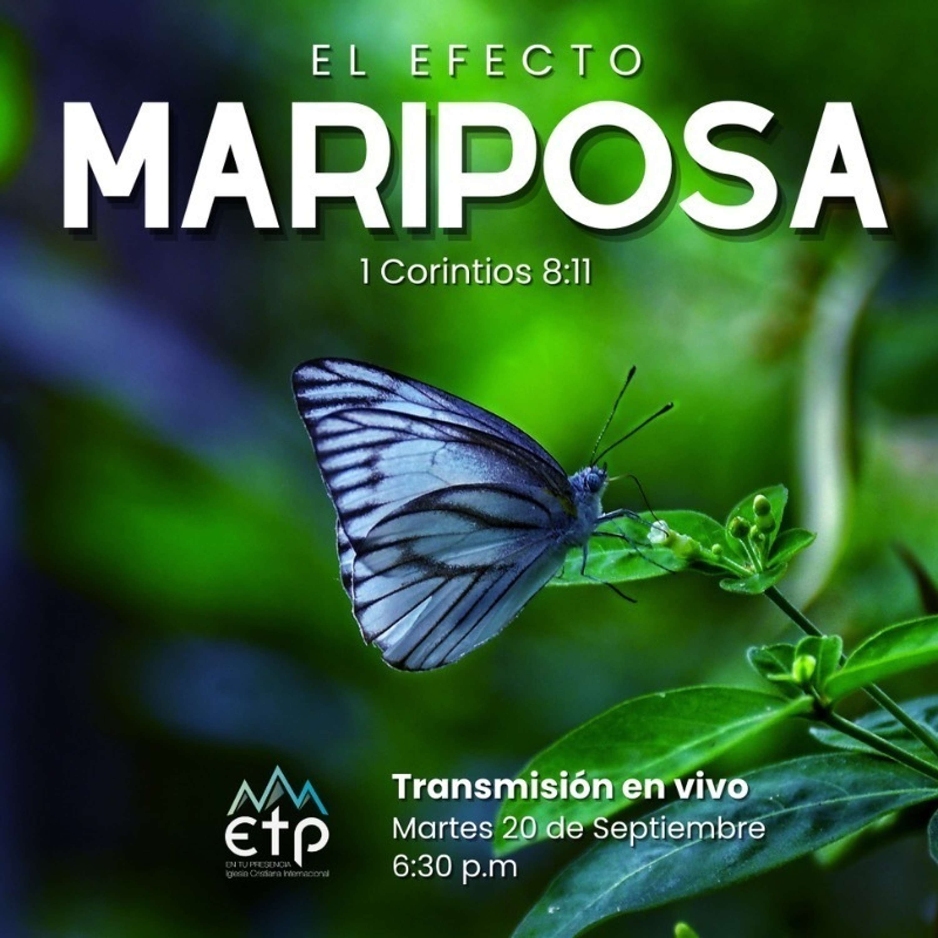 El Efecto Mariposa en Tu Vida, Tu Familia y Tu Descendencia