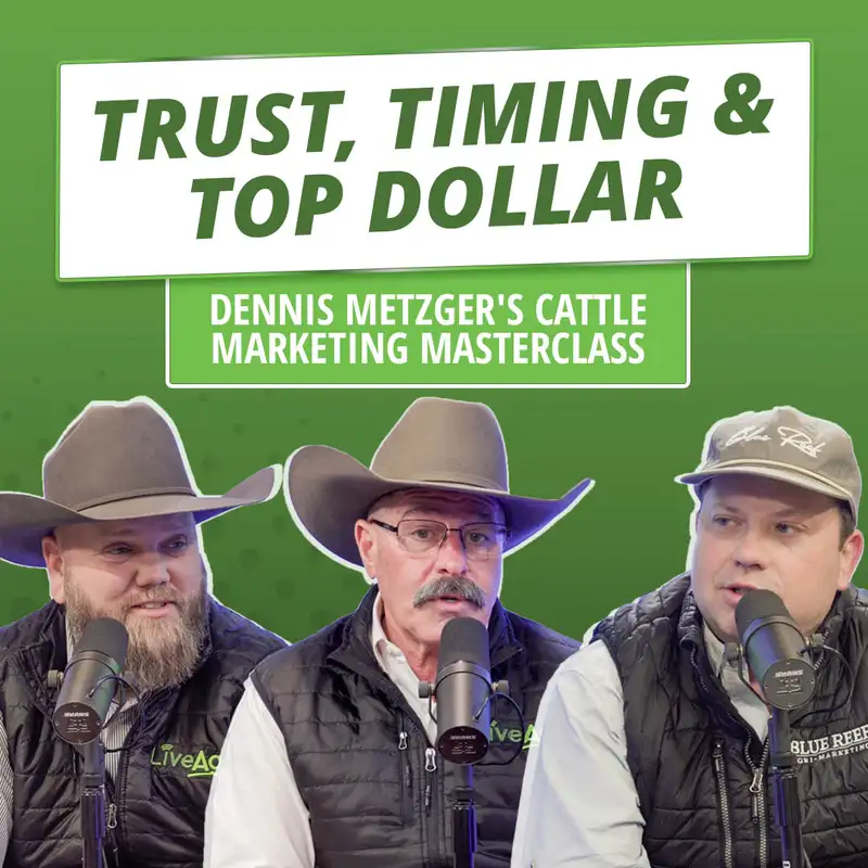 Trust, Timing, and Top Dollar: Dennis Metzger's Cattle Marketing Masterclass