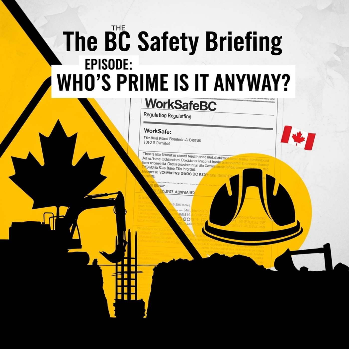 Who's Prime Is It Anyway? - The $52,500 Lesson in Prime Contractor Responsibility