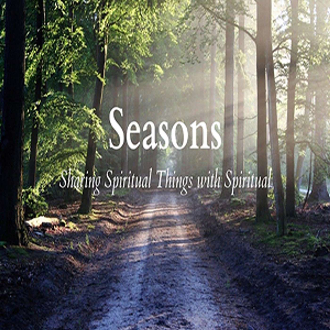 Saints Network - Seasons