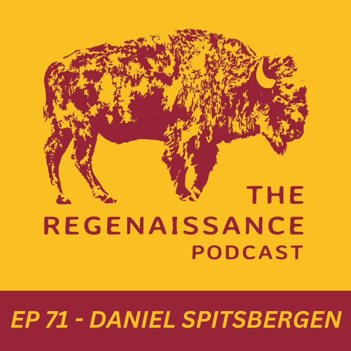 The Regenaissance Podcast