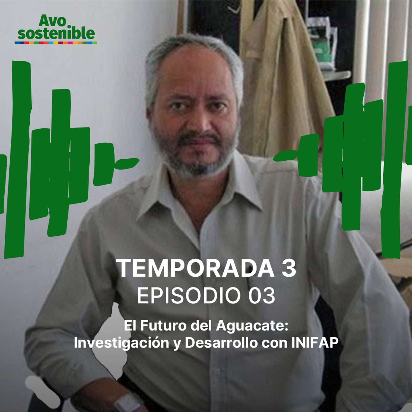 El Futuro del Aguacate: Investigación y Desarrollo con INIFAP