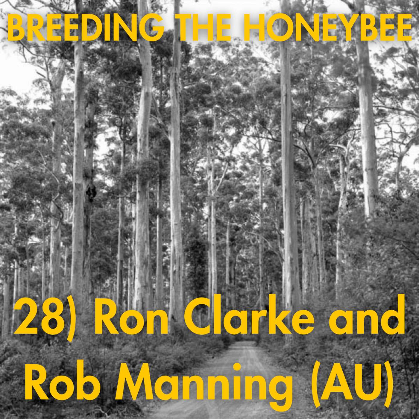 28) Ron Clarke and Rob Manning (AU)