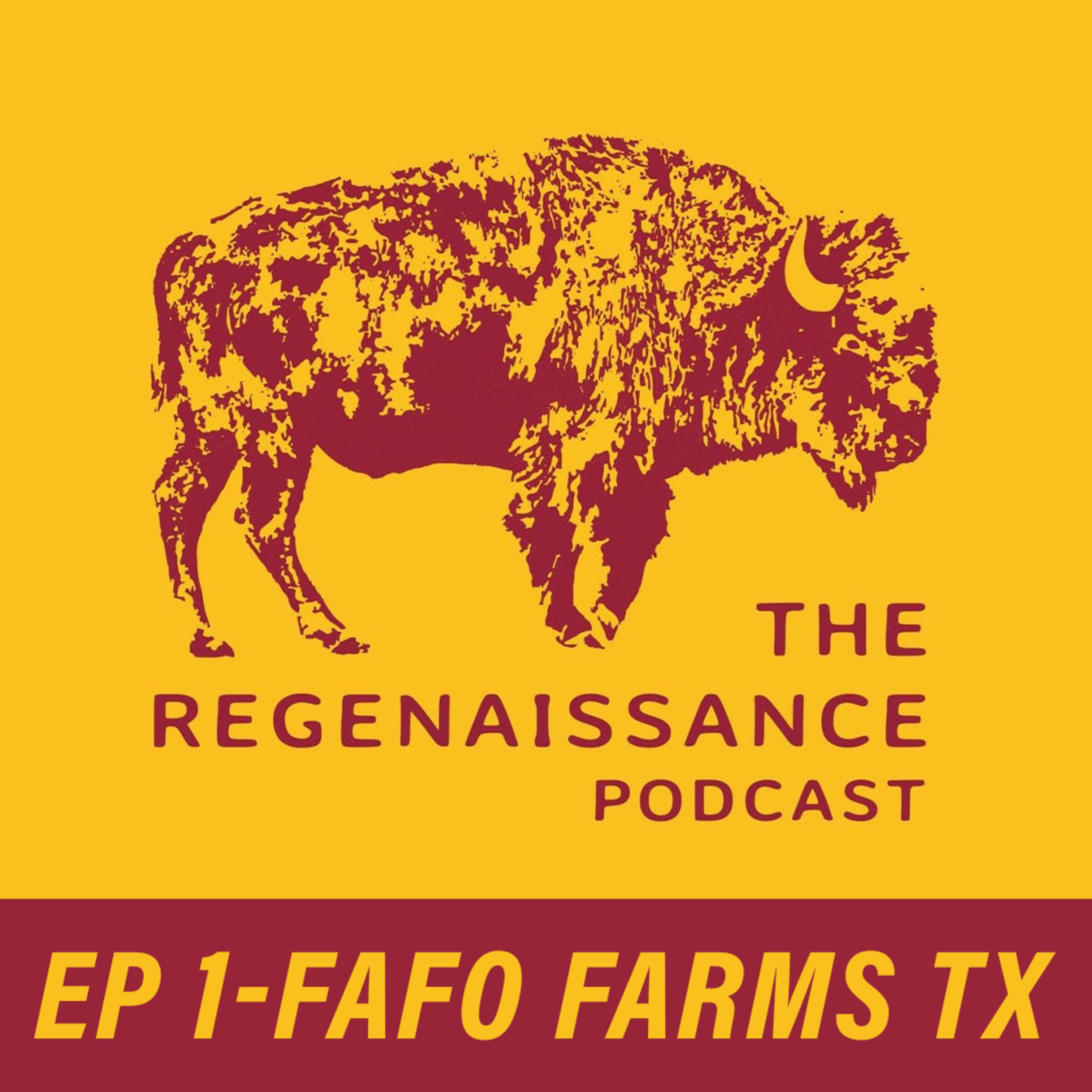 The Regenaissance Podcast