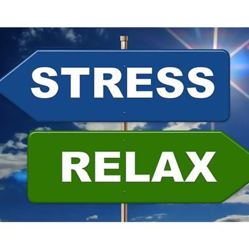How LifeWave Can Support Your Adrenal Health & Reduce Stress this Holiday