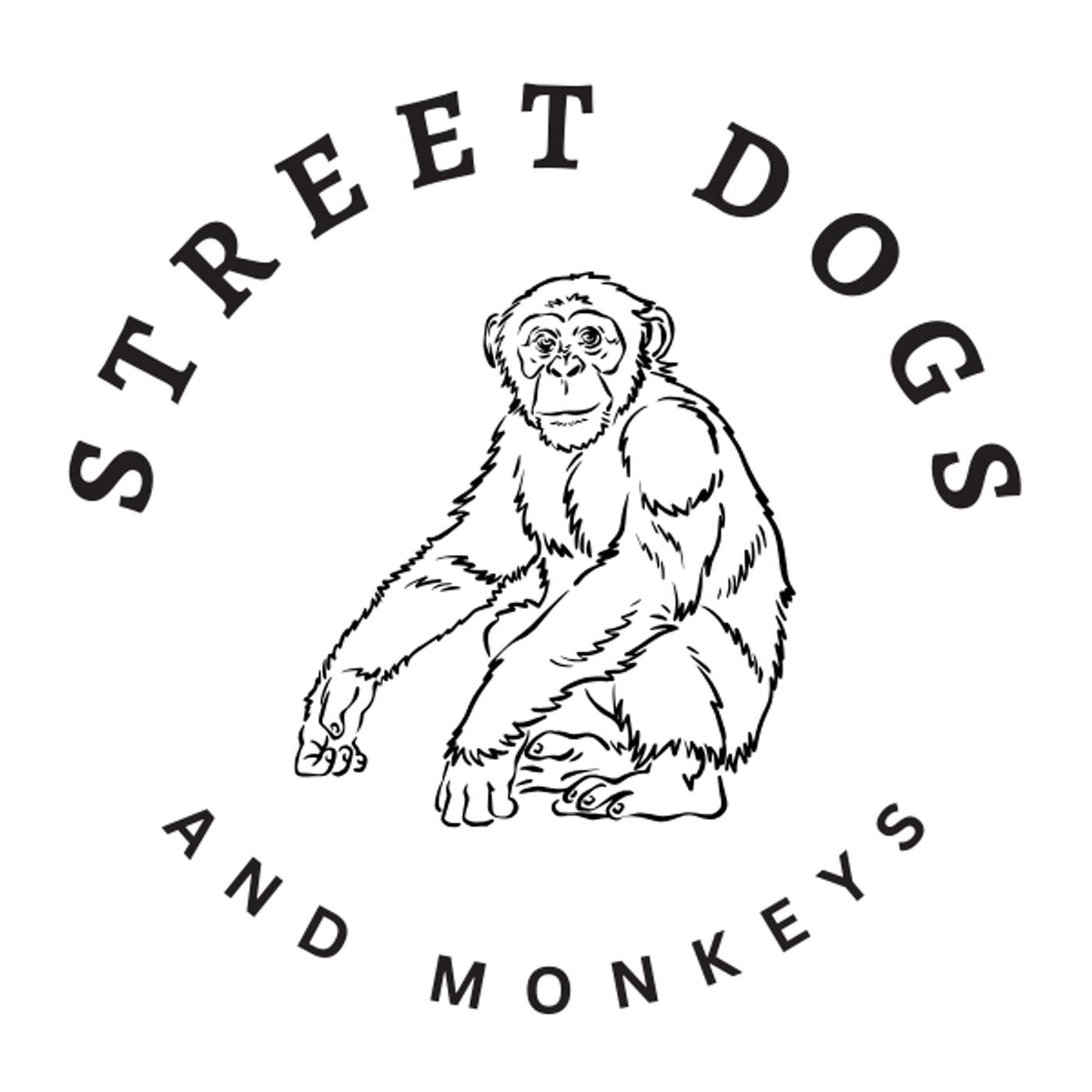 Street Dogs and Monkeys