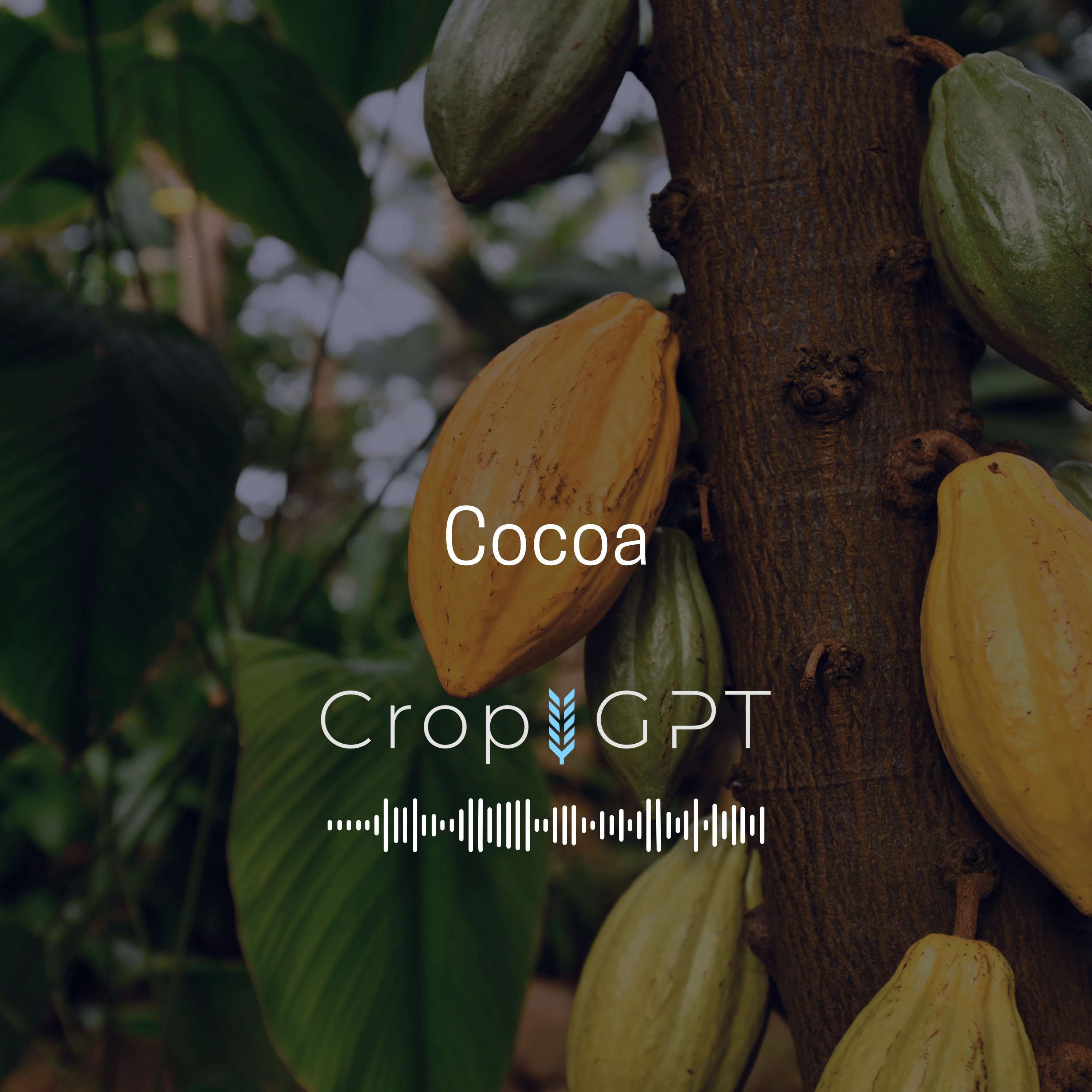 CropGPT - Podcast for Commodities