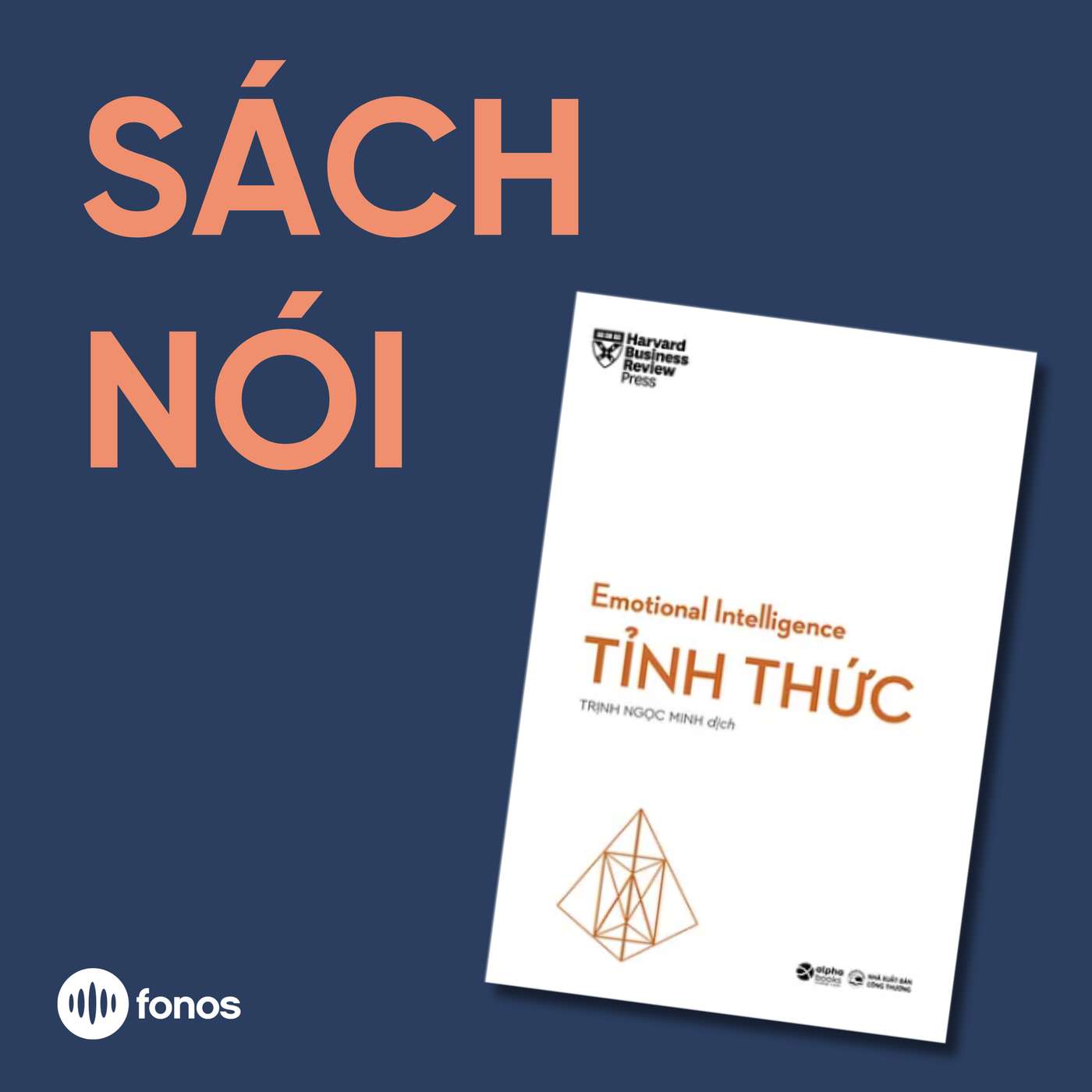 Emotional Intelligence: Tỉnh Thức [Sách Nói]