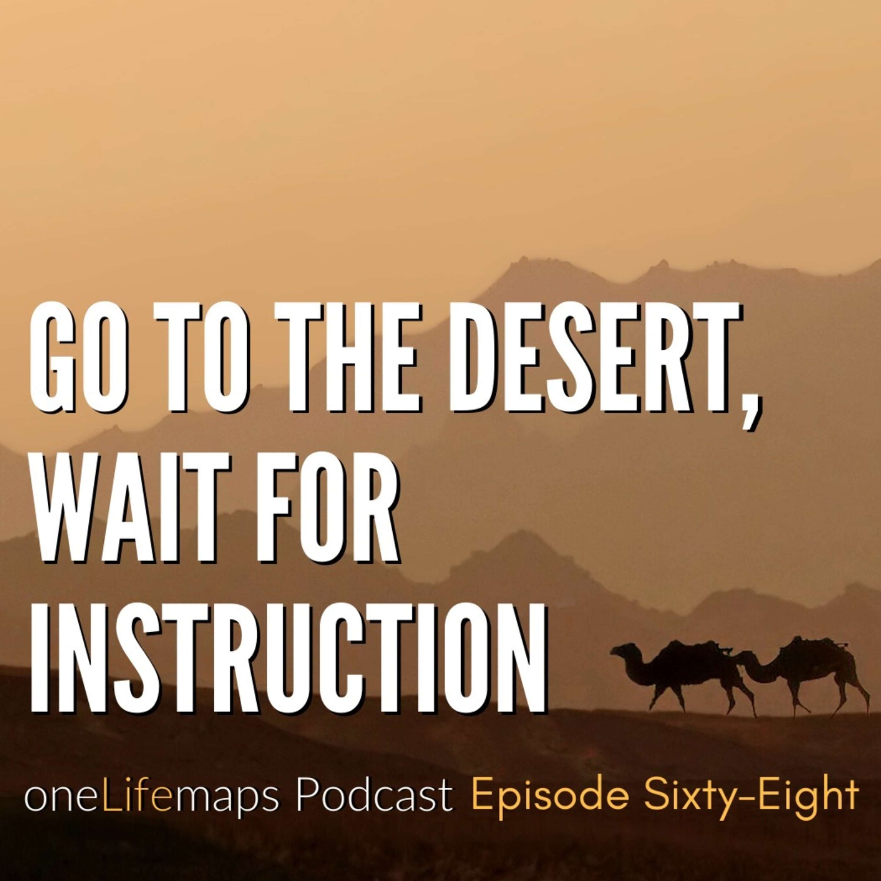 the REALIFE Practice Podcast