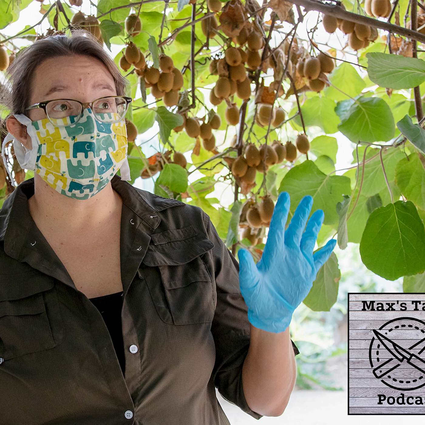 MT S2E2: Starting a home vegetable garden