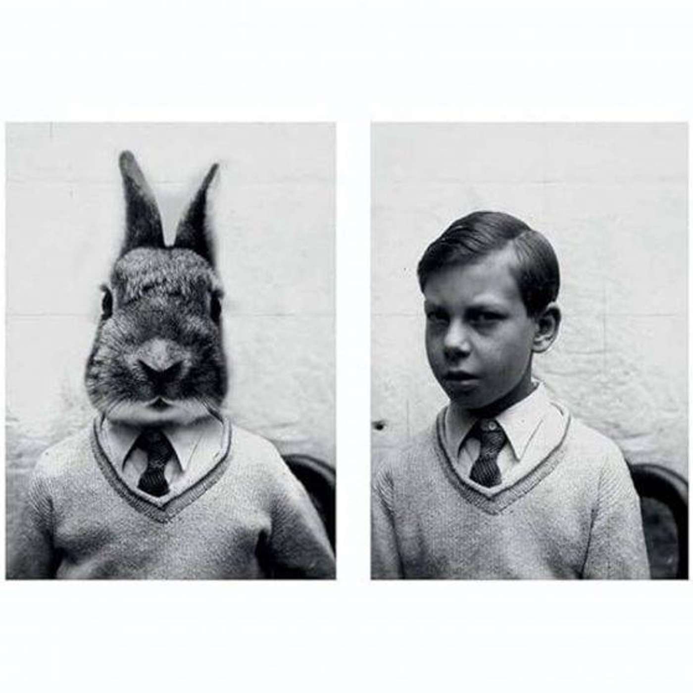 Radio Têtards #173 I Pièce radiophonique I Simon La Gadouille