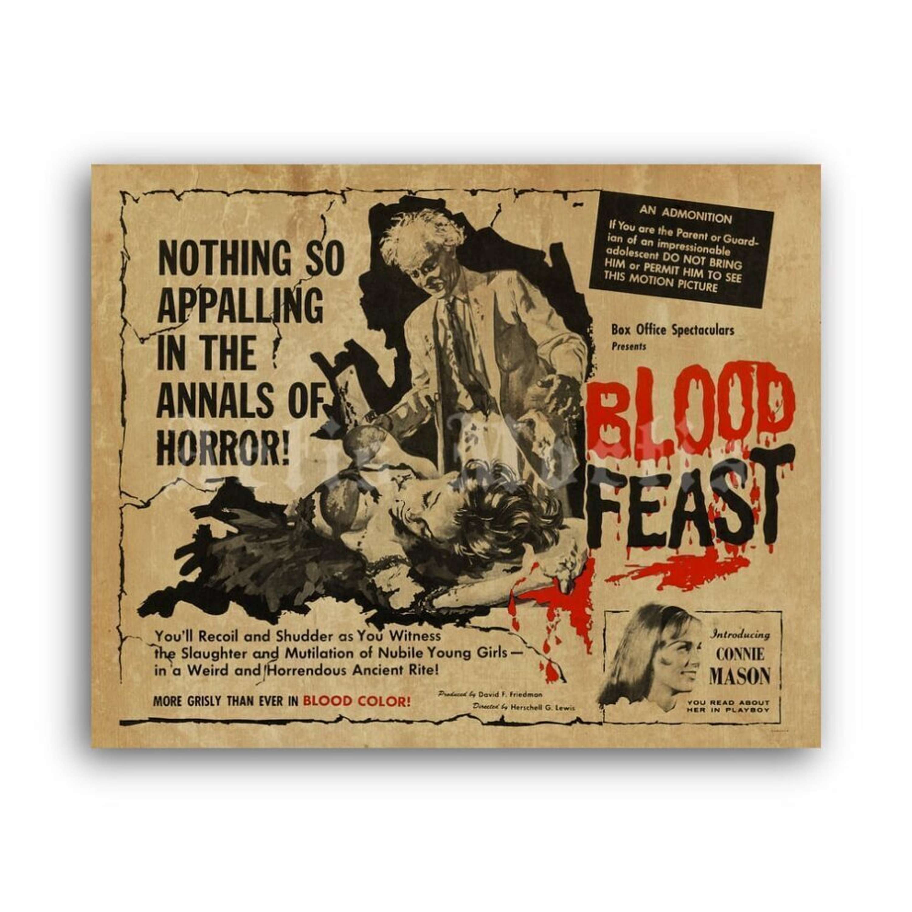 Aural Hygiene: Psychotronic Film Reviews