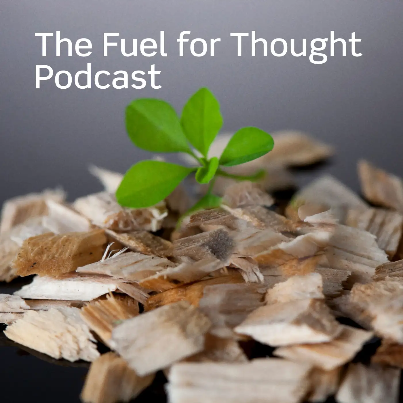 Renewable feedstocks for biofuel production - is there enough? featured Image