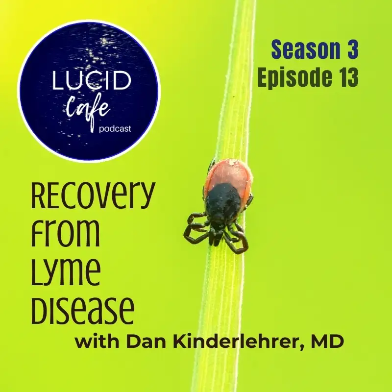 Recovery From Lyme Disease with Dan Kinderlehrer MD