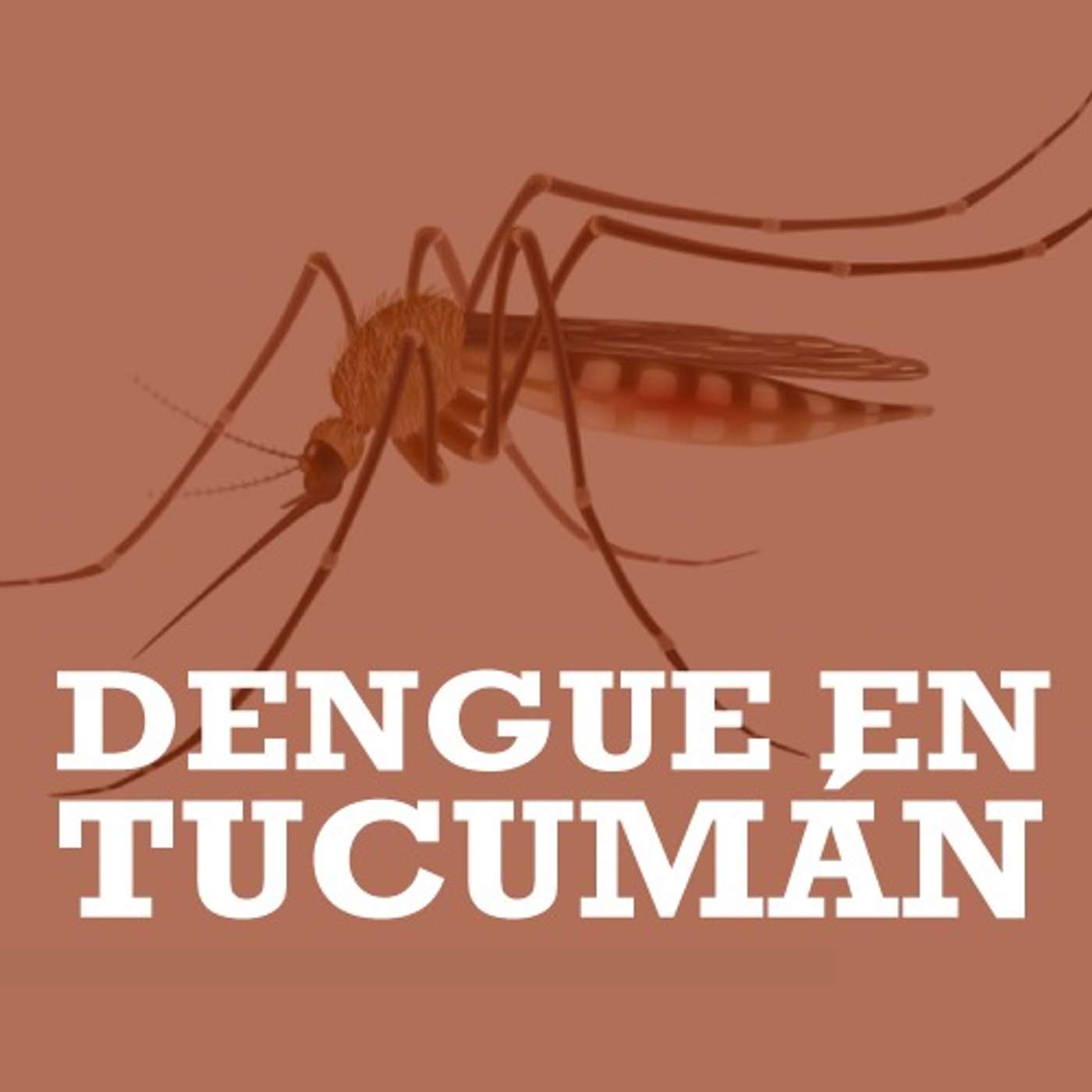 Dengue: "estábamos haciendo la cuarentena y a mi hija la picaron los mosquitos en el balcón" episode artwork