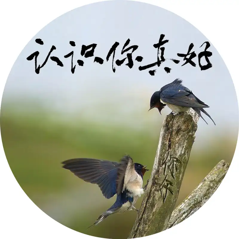 认识你真好