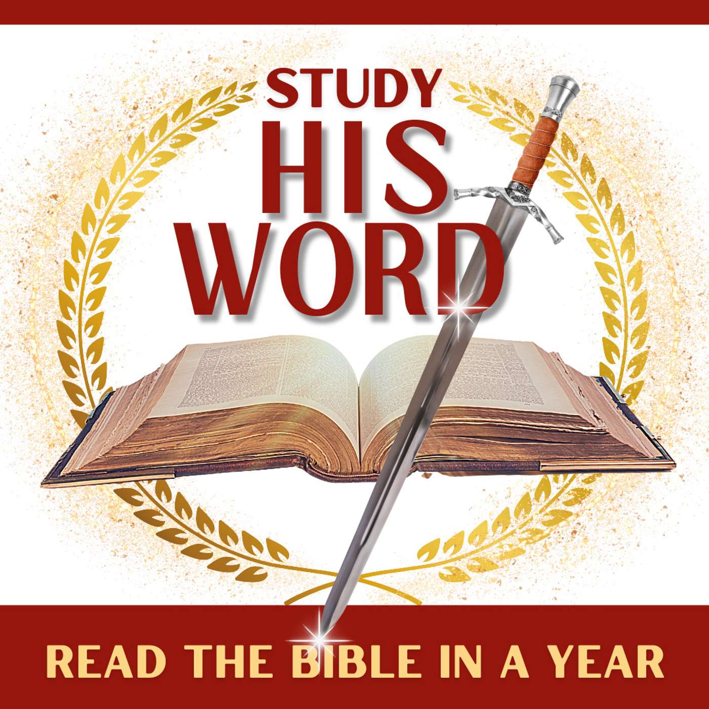 Study His Word: Read The Bible In A Year