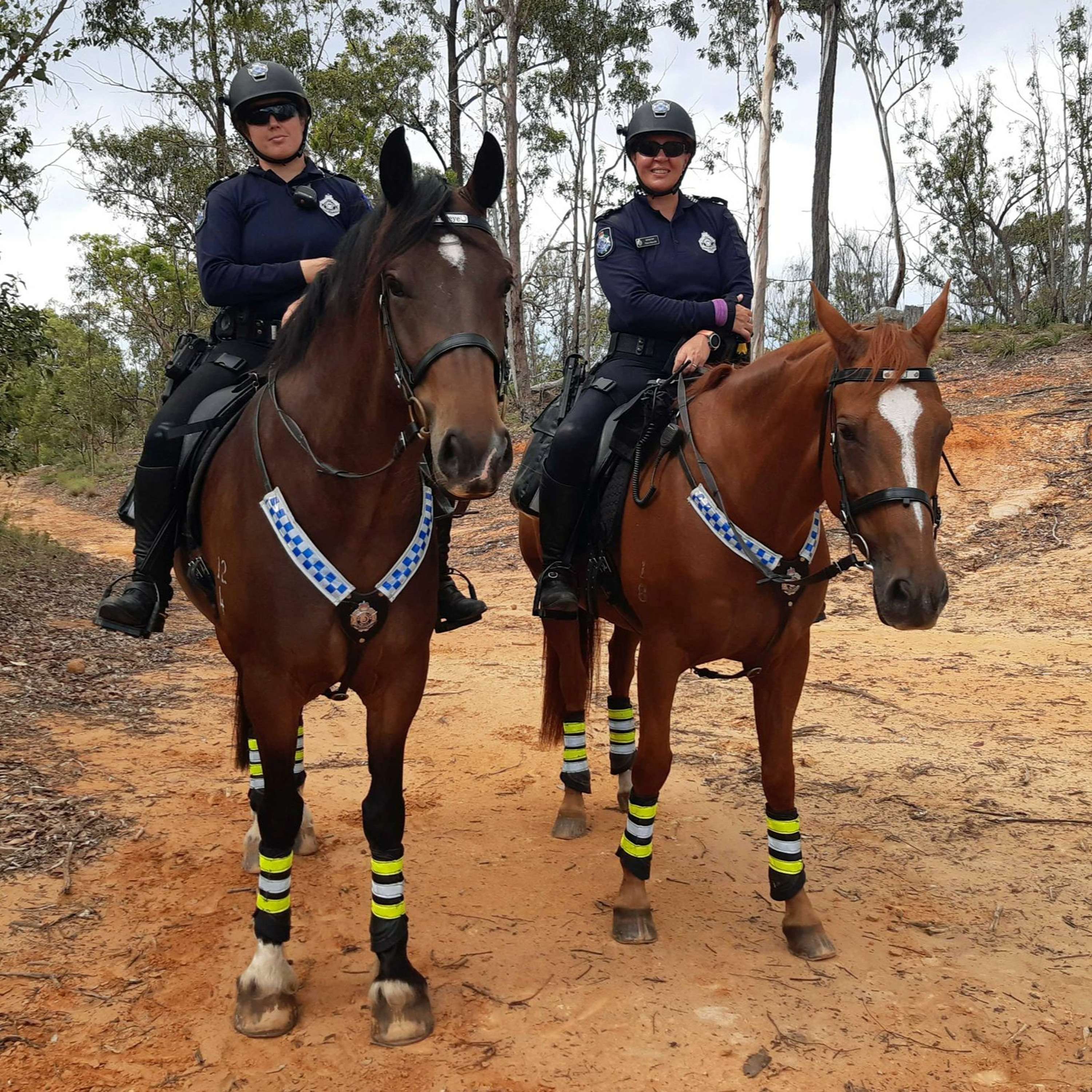 Council pushes for waste industry changes, illegal trail bike riders and new home for Red Cross