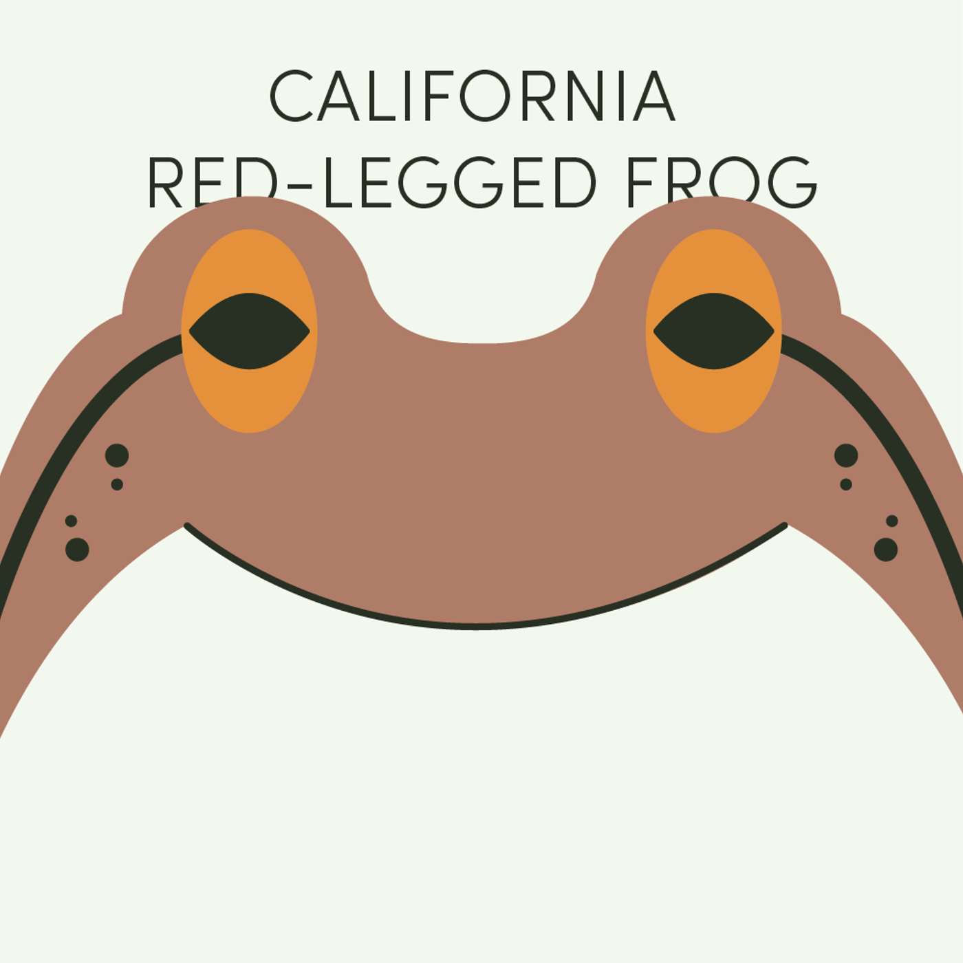 California Red-Legged Frog | Week of November 17th California Red-Legged Frog | Week of November 17th