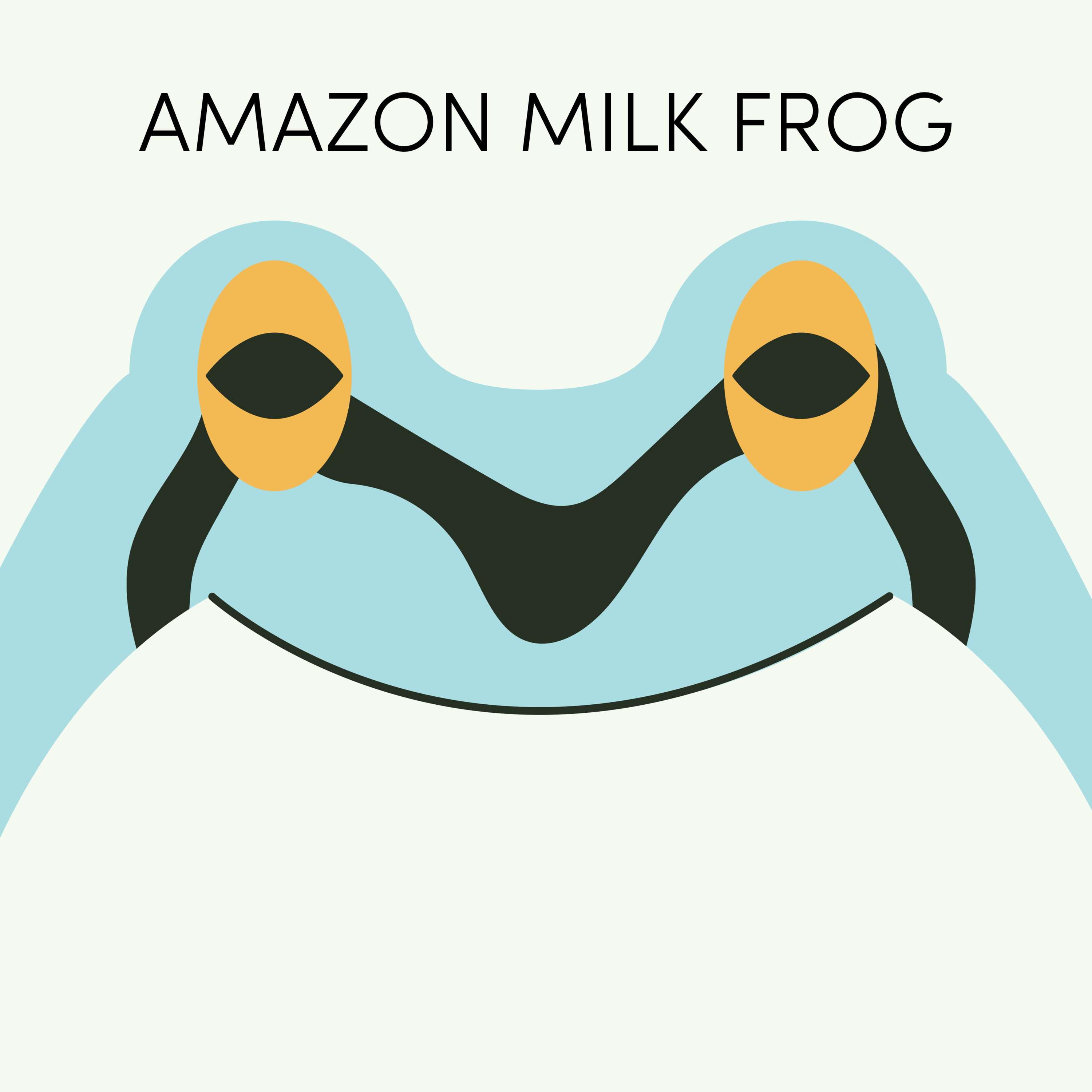 Amazon Milk Frog | Week of June 7th