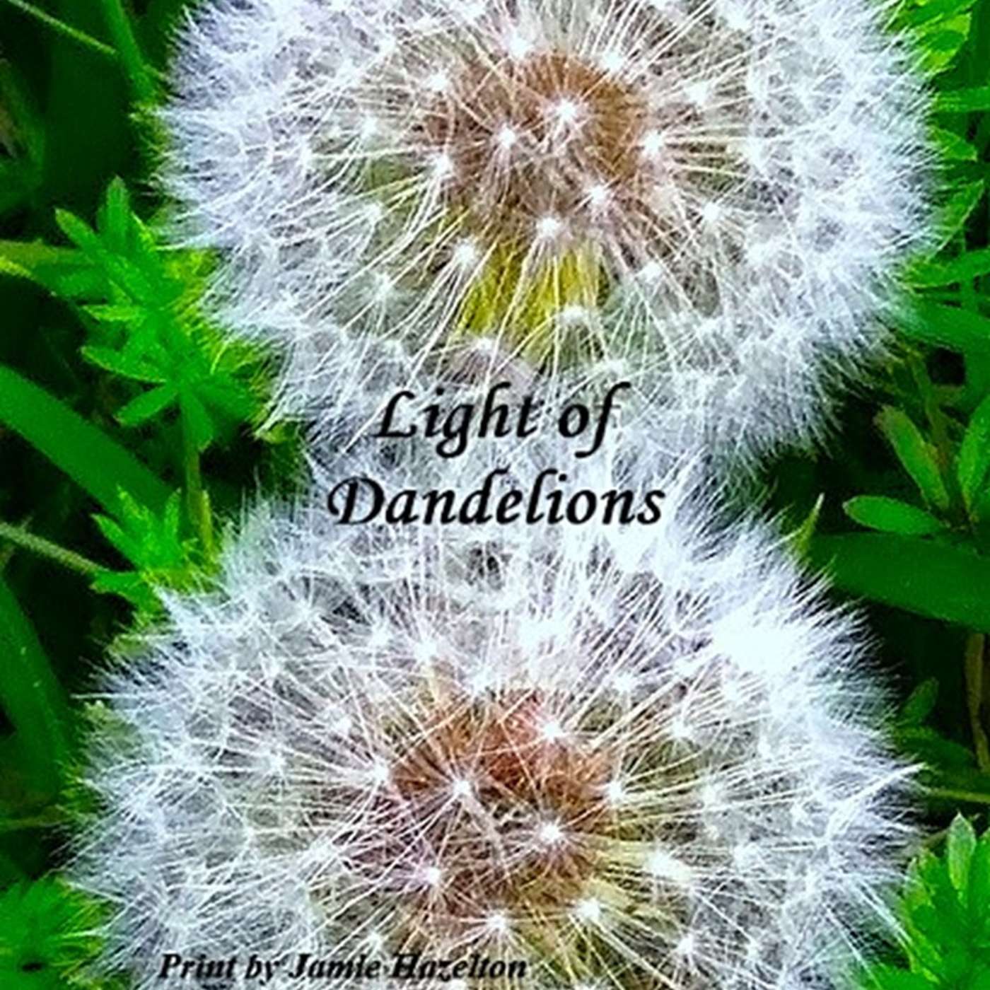 Jamie Hazelton on CREATIVES