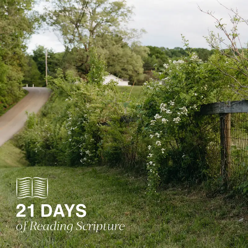 21 Days of Reading Scripture: Day One | Ephesians 1:1-10