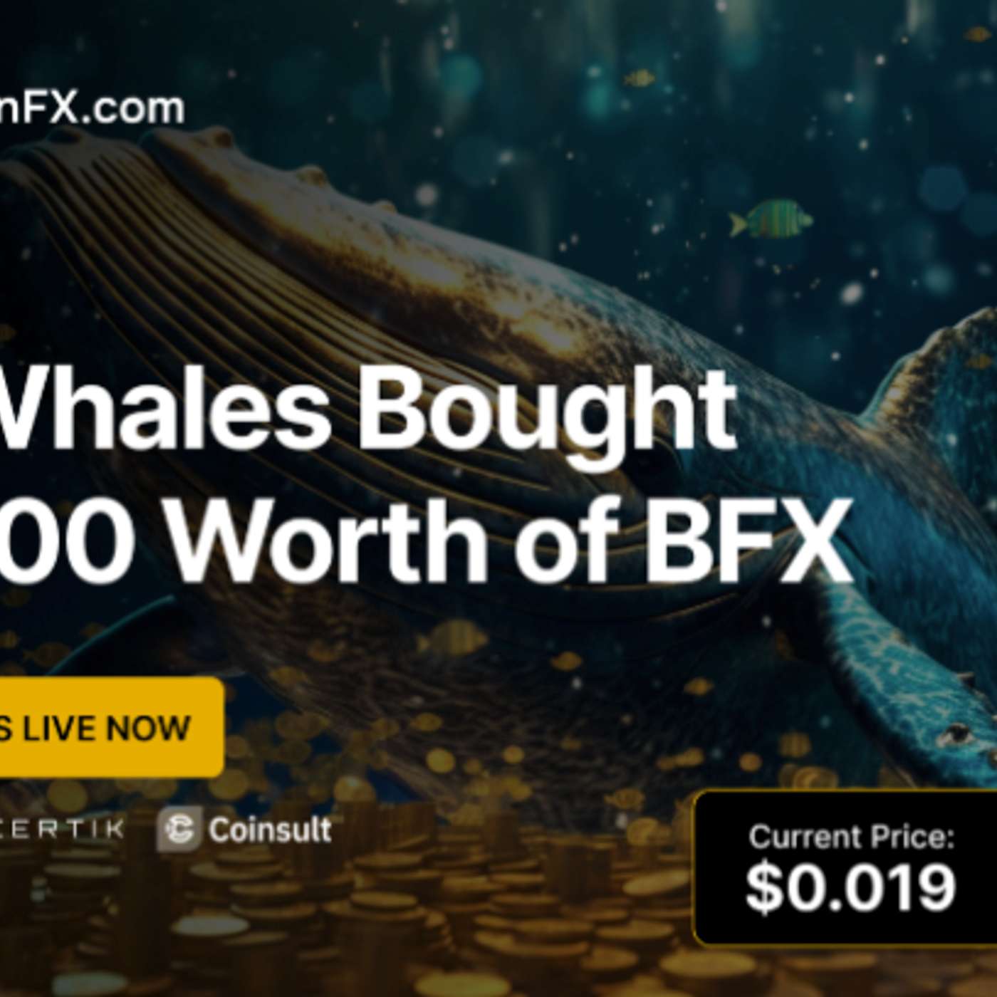 Top Crypto Presale 2025: Why BlockchainFX ($BFX) Is Better Than Missing Out on Stellar (XLM) ICO