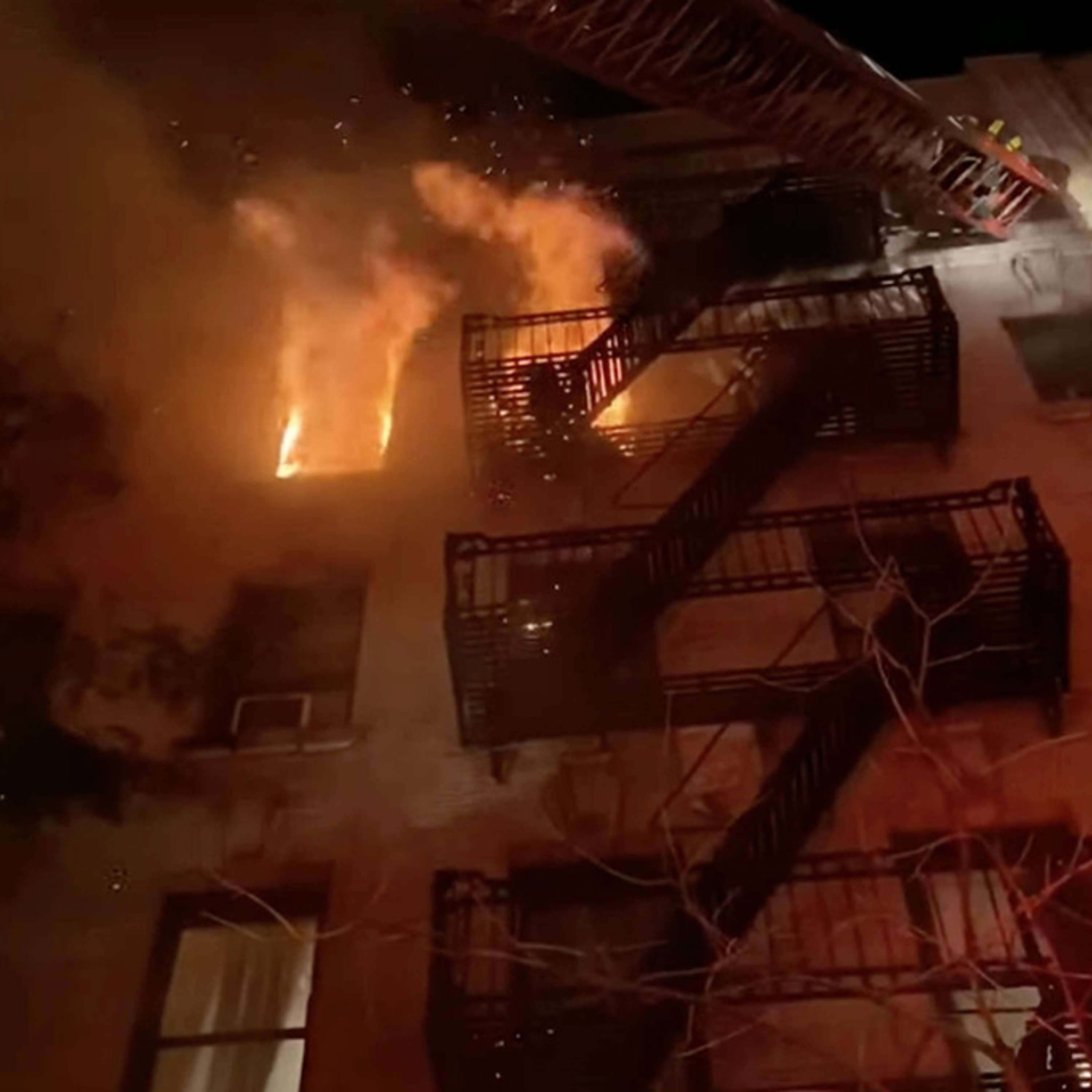 FDNY Pro