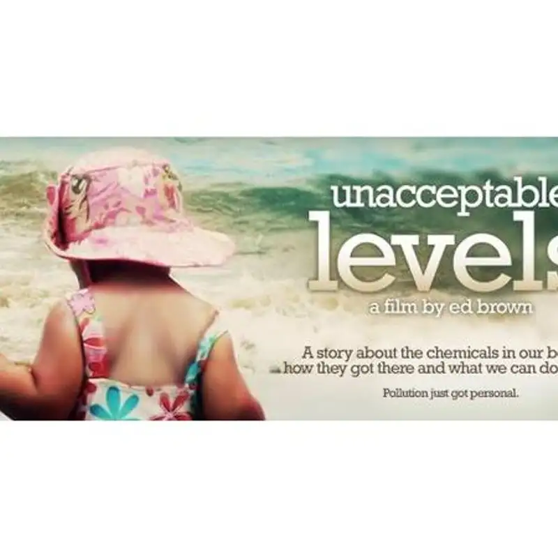 Unacceptable Levels: How Everyday Chemicals Impact Our Bodies