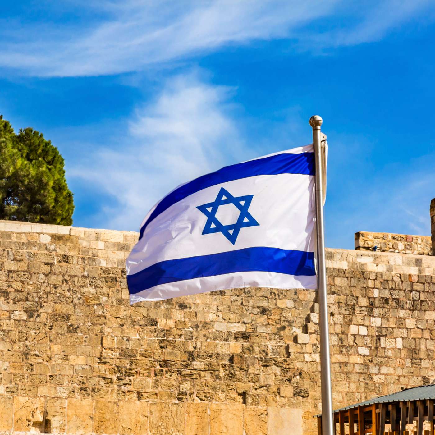 התקומה episode artwork