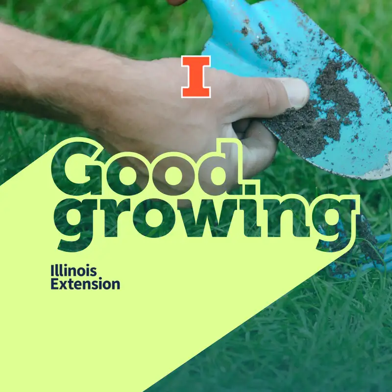 Ep. 189 Getting garden tools ready for winter | #GoodGrowing