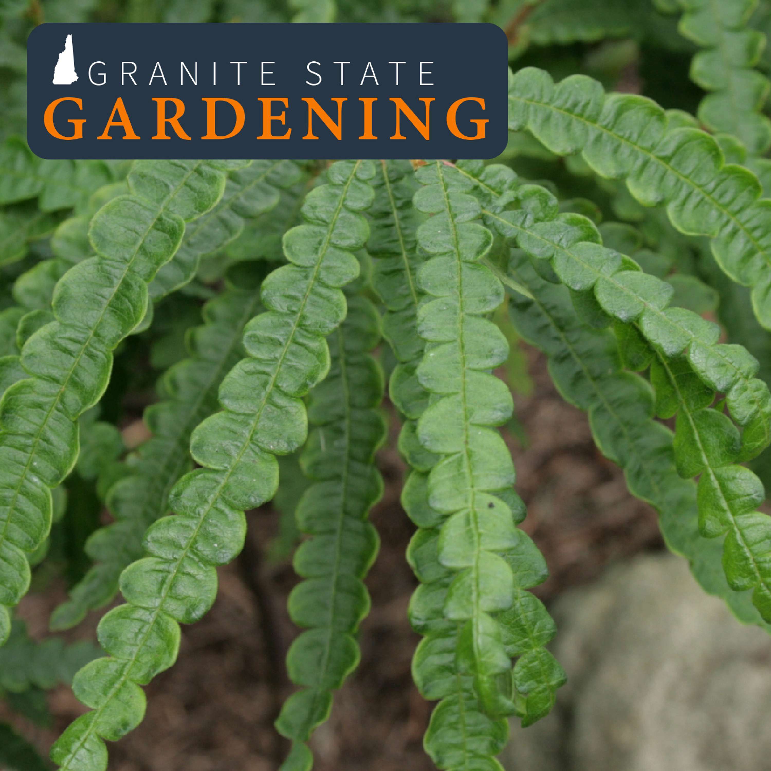 Growing in Tough Spots and Situations