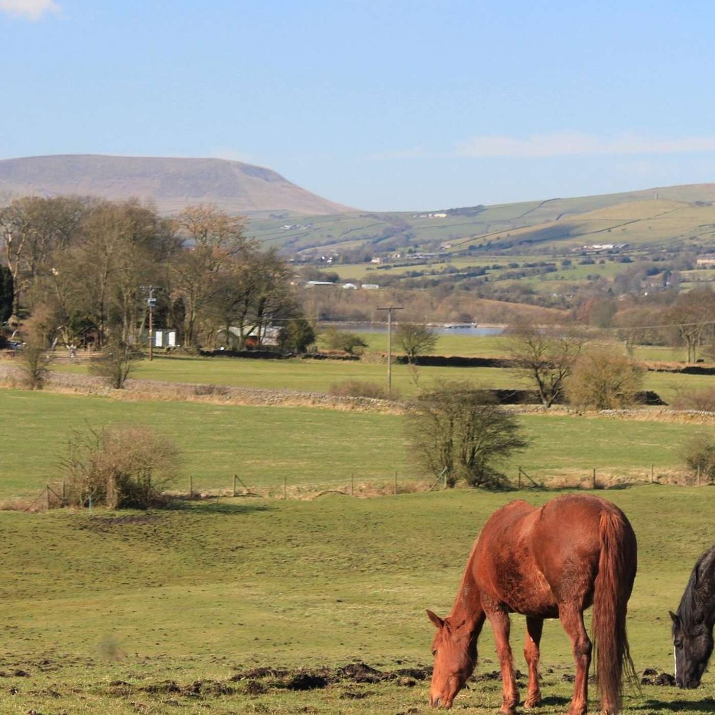 UK Delays Local Elections, Earthquake Shakes North West England, AI Chats Influence Elections, Badshah Headlines The O2, and more...