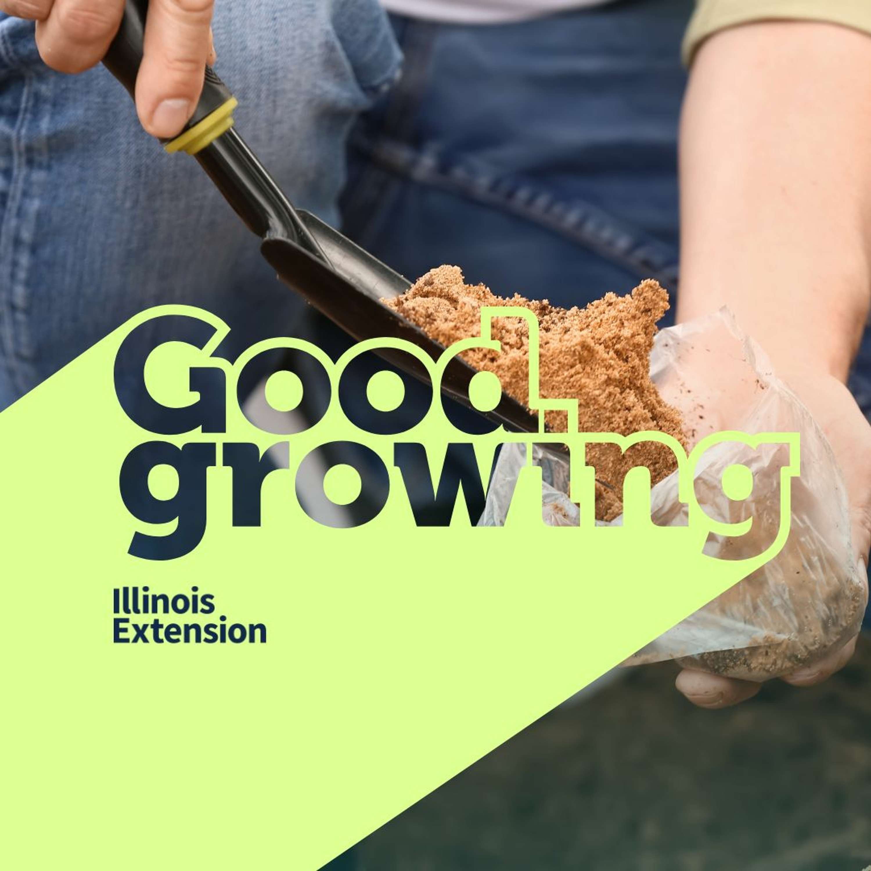 Ep. 139 Answering Soil Testing Questions | #GoodGrowing