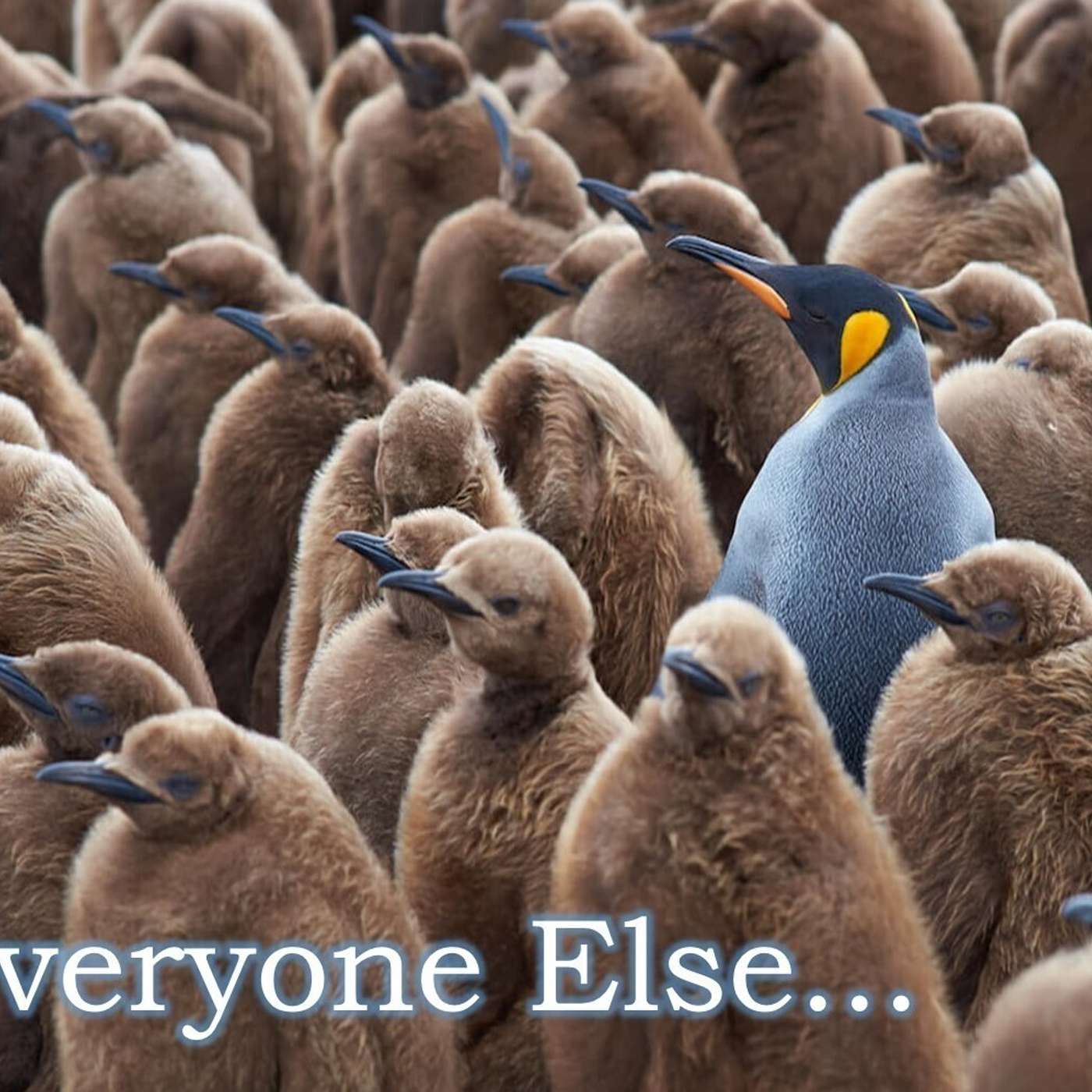 Fool Me Once...: Everyone Else...