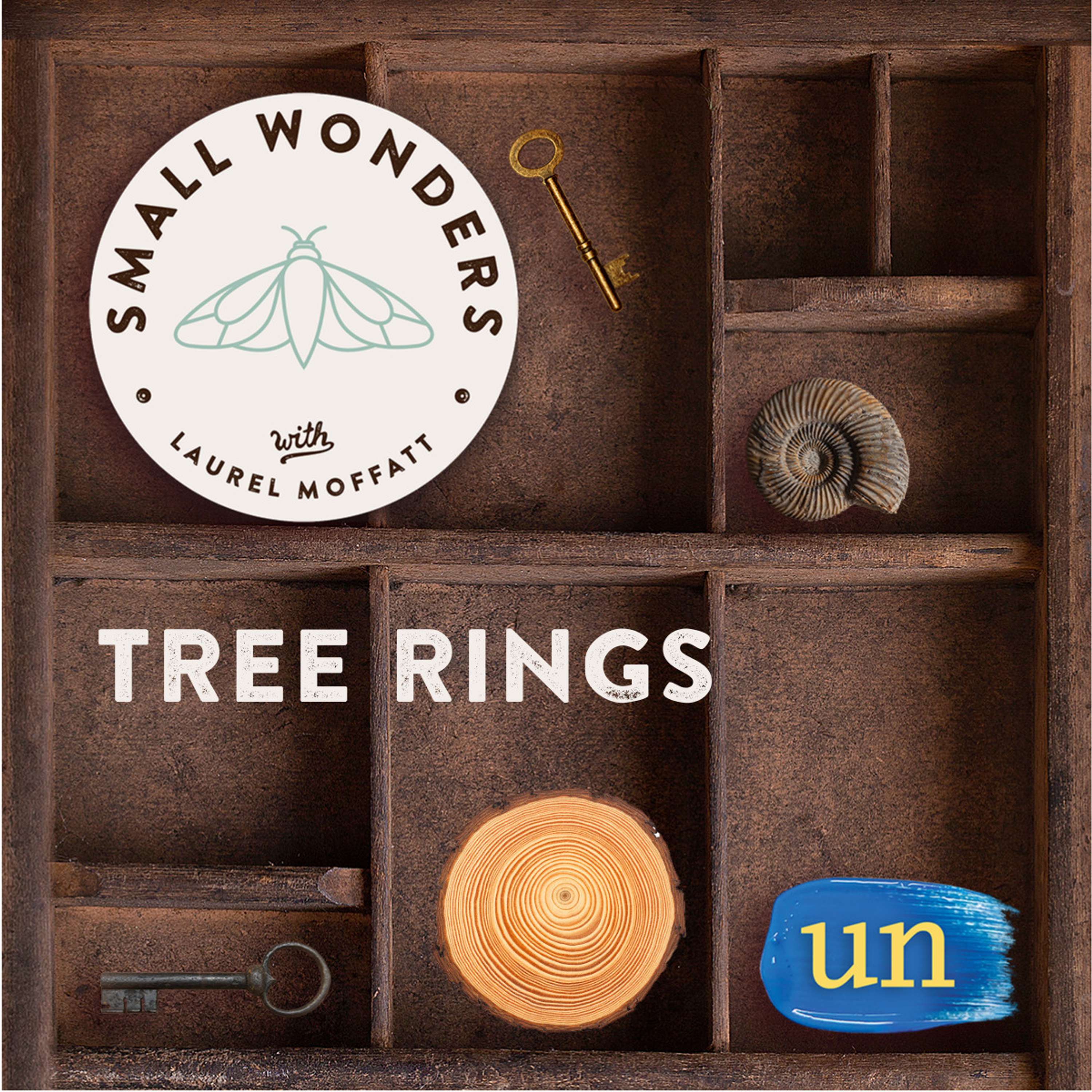 Small Wonders