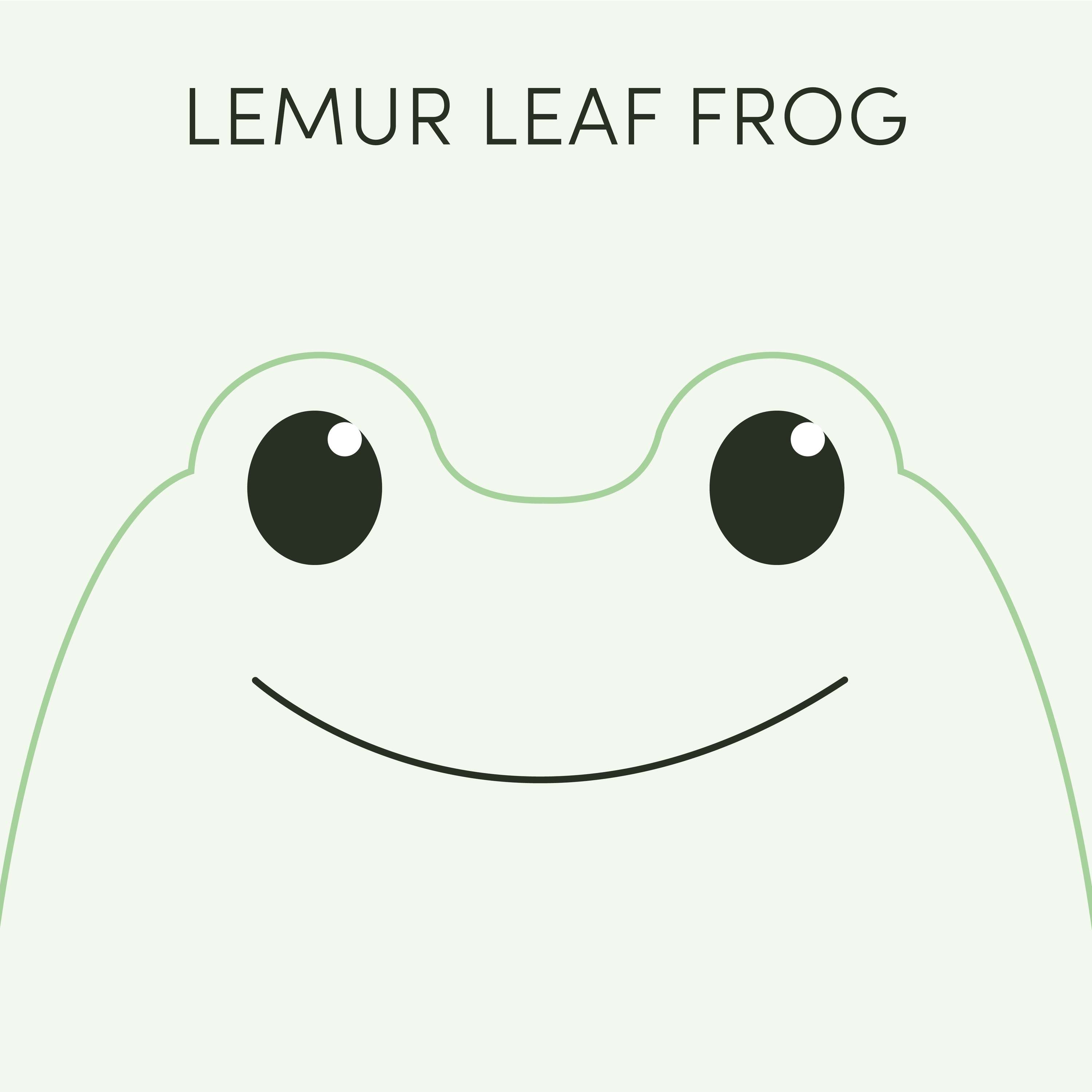 Lemur Leaf Frog | Week of April 17th